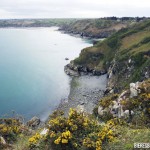 Balade Pointe de Plouhat 1