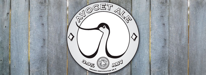 Avocet ale vignette