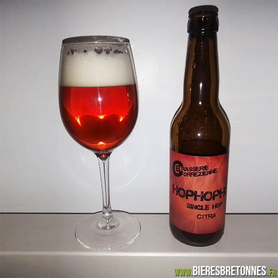 HopHopHop Single Citra Hop Ale