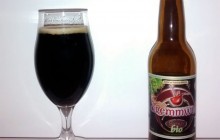 Biere Dremmwel Stout Bio