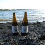 Deux Saint Georges Blanche En Balade A Plougastel