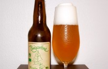 Brigantine - Brasserie de la Côte de Jade