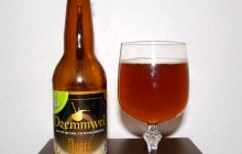 Dremmwel dorée bio – Brasserie de Bretagne (BRITT)