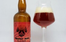 Tricerat’hops Mandarina Bavaria – Brasserie Tri Martolod