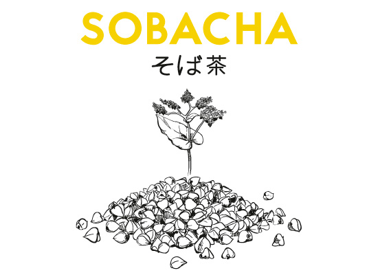 Illustration bière Sobacha