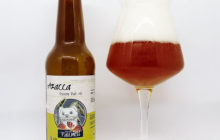 Azacca Session Pale Ale - A bottle and a Craft beer Ale