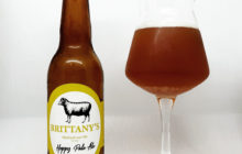 Hoppy Pale Ale - Brasserie Brittany's