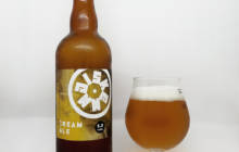 Diskenn Cream Ale - Diskenn Brewpub