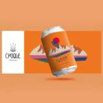 12 Choque Microbrasserie Twister