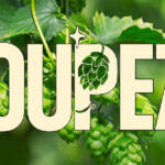 Houpez Fest 2024