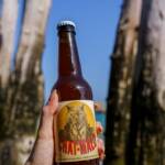 photo biere brasserie chat malo biere sarrasin saint malo 01