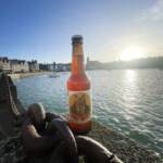 photo biere brasserie chat malo biere sarrasin saint malo 02